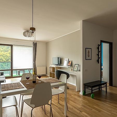 Tampa Gardens - Mountain View Apartment Брашов Екстер'єр фото