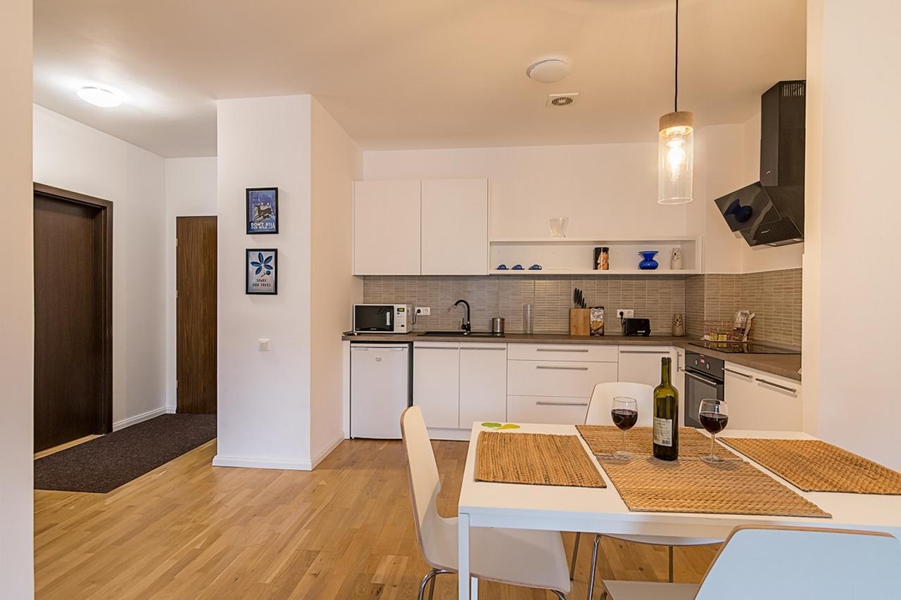 Tampa Gardens - Mountain View Apartment Брашов Екстер'єр фото